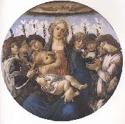 Sandro Botticelli Madonna and child with eight Angels or Raczinskj Tondo USA oil painting artist